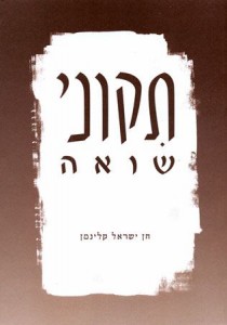 Chen-Kleinman-book